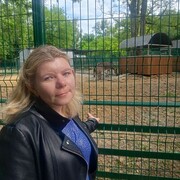  --,   , 38 ,   c 