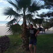  --,   , 44 ,  