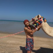 ������. 2018 ���.