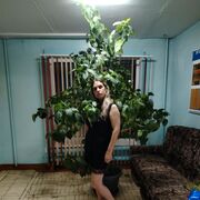 ���������� �������, ���� ������� ����, 42 ����, ������������ ��� ����� � ���������