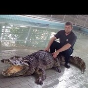 ���������� �����-���������, ���� ������� ����, 41 ���, ������������ 