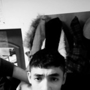  ,   , 33 ,   , 
