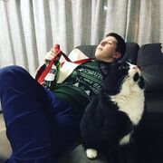 ���������� ���������, ���� ������� ���������, 27 ���, ������������ ��� ������, ����� � ���������