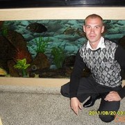 ���������� �����������, ���� ������� ��������, 41 ���, ������������ 