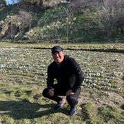 ���������� ������, ���� ������� Almat, 43 ����, ������������ ��� ������, ����� � ���������, c�������� ���������