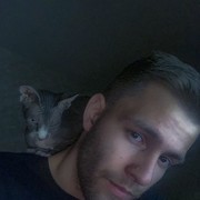  -,   Fox, 28 ,   ,   , c 
