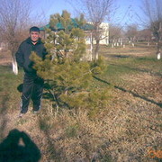  ,   Maxut, 62 ,  