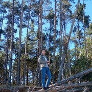  ,   , 31 ,   ,   