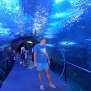  ,   , 41 ,   ,   , c 