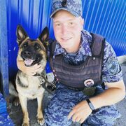 ���������� ������������, ���� ������� ���, 27 ���, ������������ ��� ������, ����� � ���������