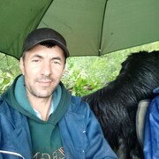  ,   , 41 ,   ,   