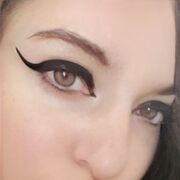  ,   , 33 ,     , 