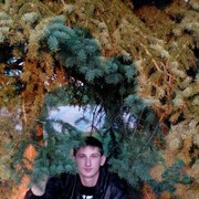 ���������� ����������, ���� ������� �����, 31 ���, ������������ ��� ������, ����� � ���������, c�������� ���������