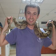 ,   Max, 38 ,   ,   , c 