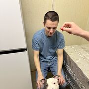 ���������� ������, ���� ����� ���������, 22 ����, ������������ ��� c�������� ���������