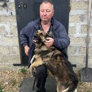 ���������� ����-�������, ���� ������� ������, 60 ���, ������������ ��� c�������� ���������