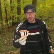  ,   , 44 ,   