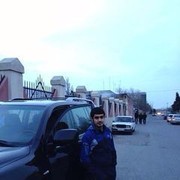 ���������� ����, ���� ������� Elvin, 36 ���, ������������ ��� ������, ����� � ���������, c�������� ���������, ���������