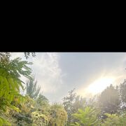  ,   , 36 ,   c 