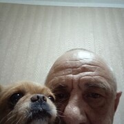  ,   , 61 ,   ,   , c 