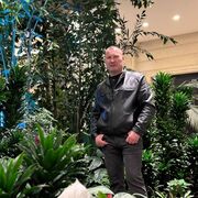 ���������� ������, ���� ������� ������, 49 ���, ������������ ��� ������, ����� � ���������