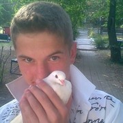 ���������� ��������, ���� ������� ����, 34 ����, ������������ ��� ������, ����� � ���������, c�������� ���������