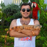 ���������� ������, ���� ������� ����, 35 ���, ������������ ��� ������, ����� � ���������