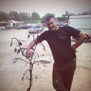 ���������� ����-�������, ������� �������, 42