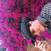  ,   , 31 ,   ,   , c , 