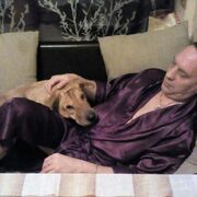 ���������� ������, ���� ������� ����, 51 ���, ������������ ��� ������, ����� � ���������