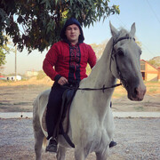 ���������� �������, ���� ������� ����, 29 ���, ������������ ��� ������, ����� � ���������, c�������� ���������, ���������