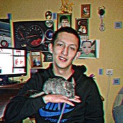  ,   , 31 ,   ,   , c 