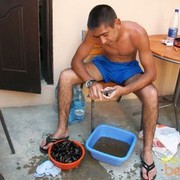 ���������� ������, ���� ������� ������, 37 ���, ������������ ��� ������