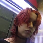 ���������� ������ ��������, ���� ������� ����, 20 ���, ������������ ��� ���������