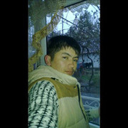  -,   , 37 ,  