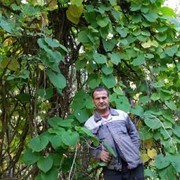  ,   , 50 ,   ,   , c 