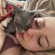  ,   , 27 ,   