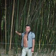  ,   Medvezhonok, 55 ,   ,   , c 