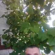  ,   , 43 ,     , c 
