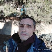 ���������� ������, ���� ������� ���������, 50 ���, ������������ ��� ������, ����� � ���������