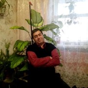  ,   , 59 ,   ,   