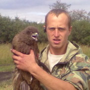 ���������� ��������, ���� ������� ������, 38 ���, ������������ ��� ������, ����� � ���������, c�������� ���������