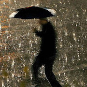 ���������� �������, ���� ������� ���, 53 ����, ������������ ��� ������