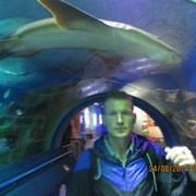  ,   , 54 ,   
