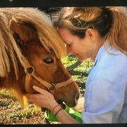 ���������� Almere Stad, ���� ������� ������, 41 ���, ������������ ��� ������, ����� � ���������, ���������