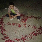  -,  MITHUN, 30