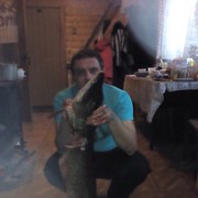 ���������� �����, ���� ������� ����������, 46 ���, ������������ ��� ������, ����� � ���������, c�������� ���������, ���������