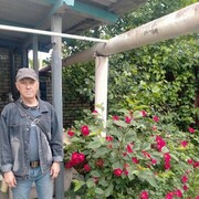  ,   , 62 ,   ,   , c 