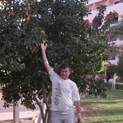  ,   , 50 ,  