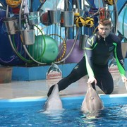 ���������� ����, ���� ������� ���������, 38 ���, ������������ ��� ������, ���������